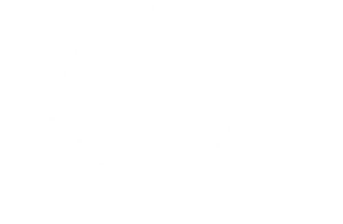Container Devanning Logo